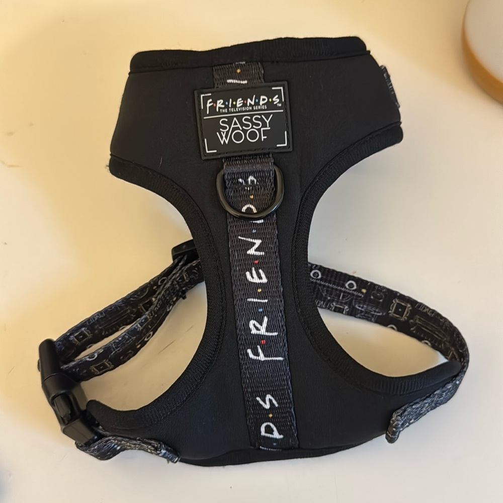 sassy woof  Harness and Leash Set